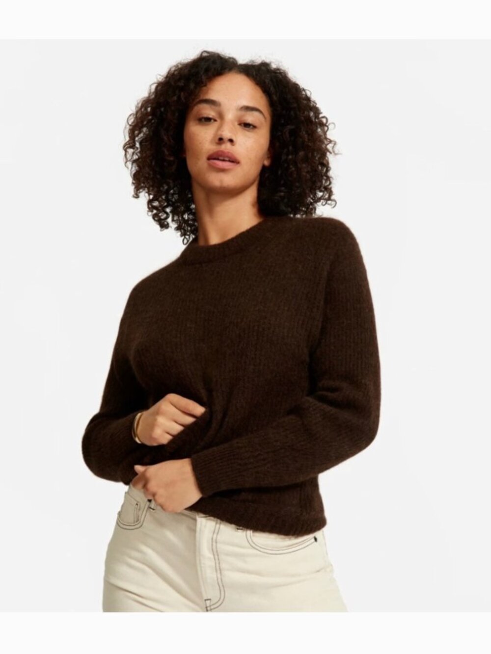 EVERLANE The Alpaca Crew Sweater Chocolate Brown Size XXS